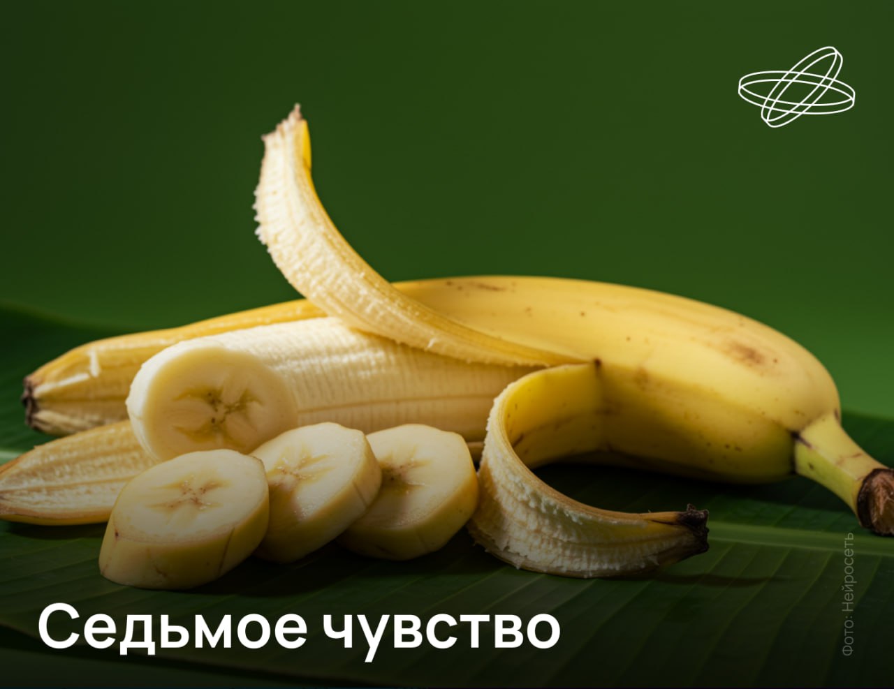 Математическая модель памяти созданная российскими учёными показала что оптимальное запоминание достигается при использовании семи каналов чувственного восприятия Однако количество чувств у обычного человека по прежнему равняется пяти Построенная в Центре искусственного интеллекта Сколтеха модель основана на энграммах базовых единицах памяти содержание которых представляет собой абстрактный объект с рядом признаков Например понятие банан запоминается по визуальному образу запаху вкусу и т д Наибольшее число независимых энграмм помещается в памяти когда используются семь измерений соответствующих различным чувствам выяснили учёные Возможно предположили они со временем к пяти нашим базовым чувствам добавятся новые например чувствительность к уровню радиации или магнитного поля Наука рф Десятилетиенауки
