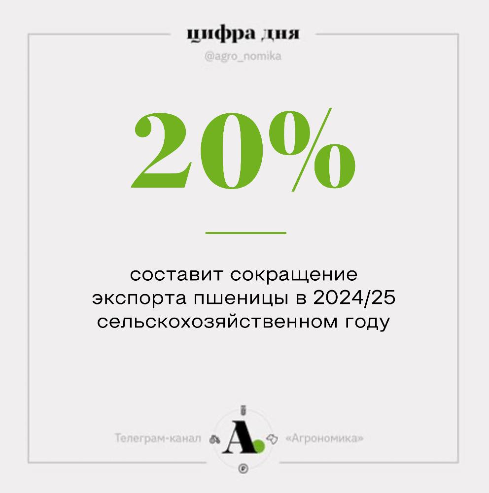 Экспорт пшеницы из России по итогам сельхозсезона 2024/25 упадет на 20-25%. Сезон получился очень неравномерным. В первой половине показатели экспорта были выше прошлогодних, а с января резко просели. По итогам сельхозгода объем вывоза пшеницы составит 40,9-41,7 млн т. Причины известны: скромный урожай прошлого года, укрепление рубля и снижение мировых цен. Все эти факторы сделали экспорт пшеницы нерентабельным, а российское зерно неконкурентным на мировом рынке. Ранее мы писали, что в попытках спасти угасающий экспорт власти повысили максимальный размер дополнительной квоты на экспорт зерна до 300% от объема основной квоты, но это не очень помогло. По состоянию на 30 мая нераспределенный остаток квоты составлял 2,5 млн тонн, и экспортеров на эти объемы не видно. Участники рынка рассчитывают, что текущая сложная ситуация станет поводом для радикального снижения пошлины вплоть до фактического обнуления и, возможно, других мер. Например, пора пристальнее посмотреть на тарифы на перевалку в черноморских терминалах, которые выросли в два раза за пять лет. На проблему монополизации рынка глубоководных портов недавно обращали внимание в Госдуме. ™ Агрономика