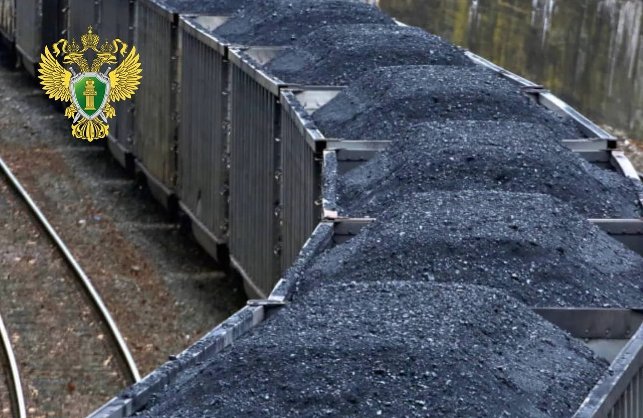 Уральская транспортная прокуратура организовала надзорные мероприятия по публикации размещённой в СМИ о необычном путешествии Поводом для проверки стал проезд молодого человека в грузовом полувагоне от станции Ишим до Тюмени По ее итогам будет дана оценка состоянию безопасности на объектах инфраструктуры эффективности режимных мероприятий При наличии оснований будут приняты меры прокурорского реагирования
