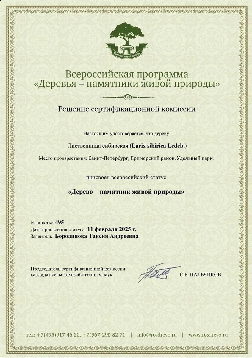 Двухвековую лиственницу в Удельном парке признали памятником. Экологи шли к этому 8 лет.  Они надеются, что присвоение всероссийского статуса станет аргументом для чиновников против строительства скоростной трассы М-7  «Расстояние составляет менее 50 метров! У лиственницы корневая система расходится на много метров в стороны. Строительство трассы может вызвать серьезное изменение водного режима в почве, приведя к ее заболачиванию, что может привести с большой вероятностью к гибели лиственницы», — рассказала нам эколог Таисия Михайлова.   Удельный парк СПб  Дарим билеты в «Лахта Центр»