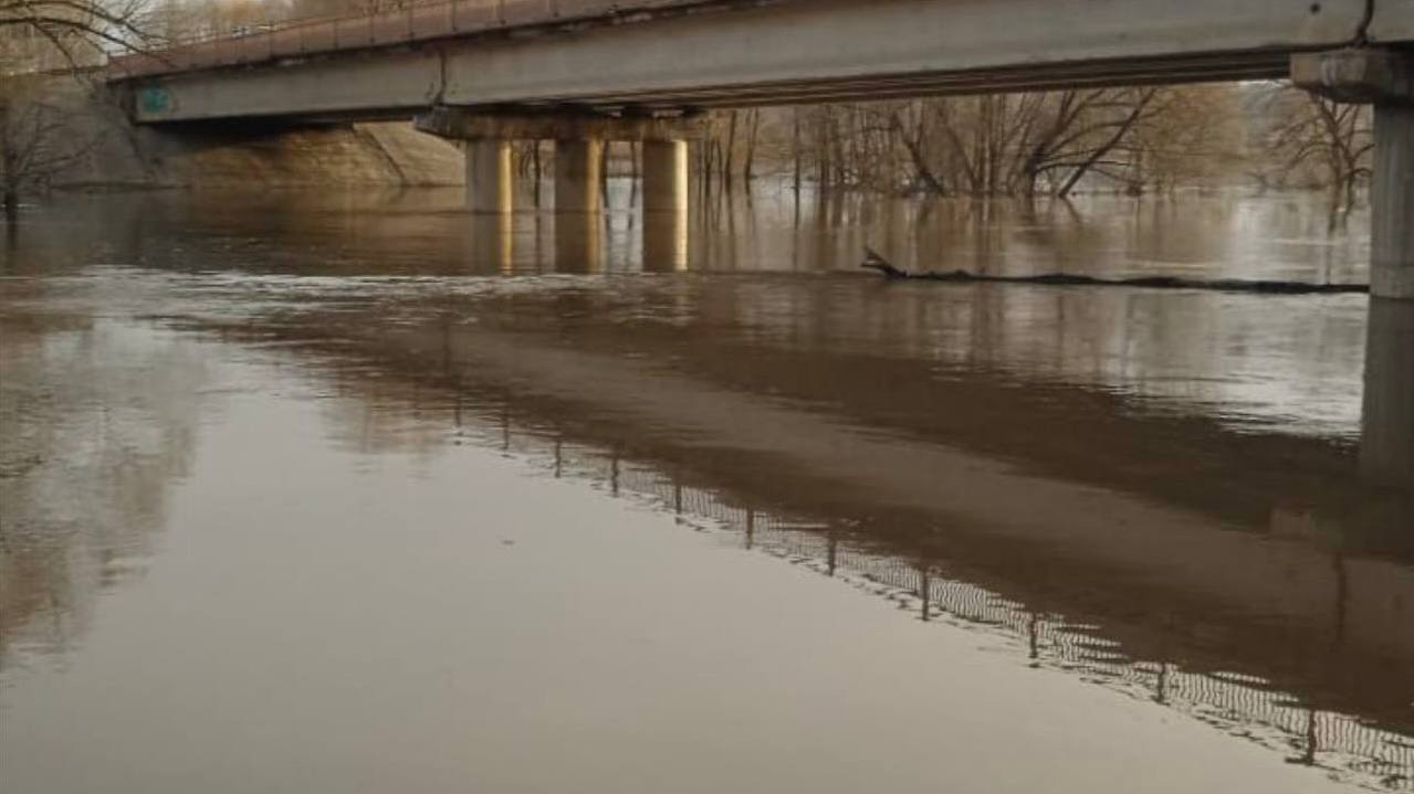 Спасатели: уровень воды в Протве не поднимается  В Обнинске снова «зарядили» дожди, и городские спасатели уже на чеку. «Уровень воды в Протве не поднимается, мы контролируем ситуацию и будем следить за уровнем воды, потому как начавшийся сегодня дождь, по прогнозам, закончится только завтра», - заверил главный обнинский спасатель Сергей Краско.   Напомним, после ливня который затопил Обнинск в День города, уровень воды в Протве существенно поднялся и еще несколько дней превышал норму почти на 2 метра.