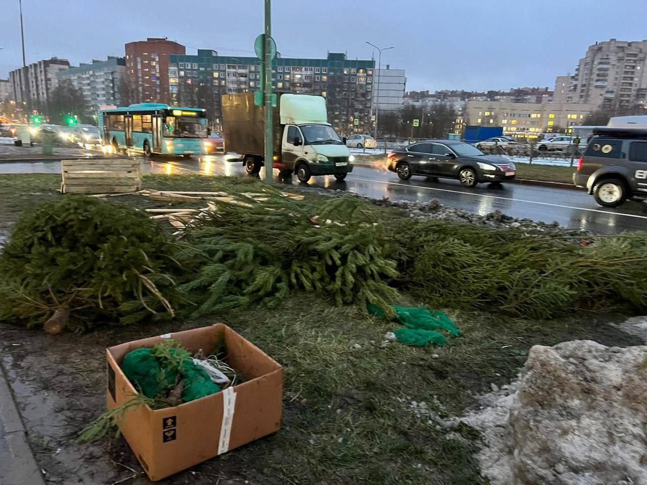 В городе продолжаются мероприятия по пресечению нелегальной торговли новогодними ёлками.  На проспекте Королёва, рядом с жилым комплексом «Граффити», были убраны самодельные деревянные сооружения, на которых шла продажа ёлок. Собранные деревья погрузили в грузовик. Ёлки, которые не поместились в машину, были спилены и оставлены на месте.