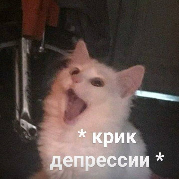 Россияне массово сходят с ума за сентябрь они купили антидепрессантов на 13 8 млрд рублей Самыми депрессивными оказались жители Москвы Петербурга Калининградской области и Карелии Фармацевты отмечают что чаще всего за антидепрессантами приходят зумеры