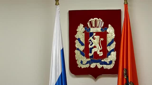 Законопроект о безнадзорных животных в Красноярском крае готовится ко второму чтению