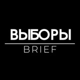 Выборы Brief