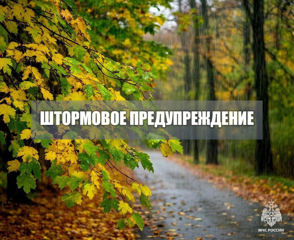 Штормовое предупреждение о комплексе метеорологических явлений Вечером и до конца суток 24 октября ночью и утром 25 октября местами в Запорожской области ожидается комплекс метеорологических явлений сильный дождь ливень в сочетании с грозой градом и сильным ветром 20 22 м с Будь внимателен и осторожен Телефон экстренной службы 101 МЧС Запорожской области Подписаться Подписывайся на МЧС России в Telegram MAX