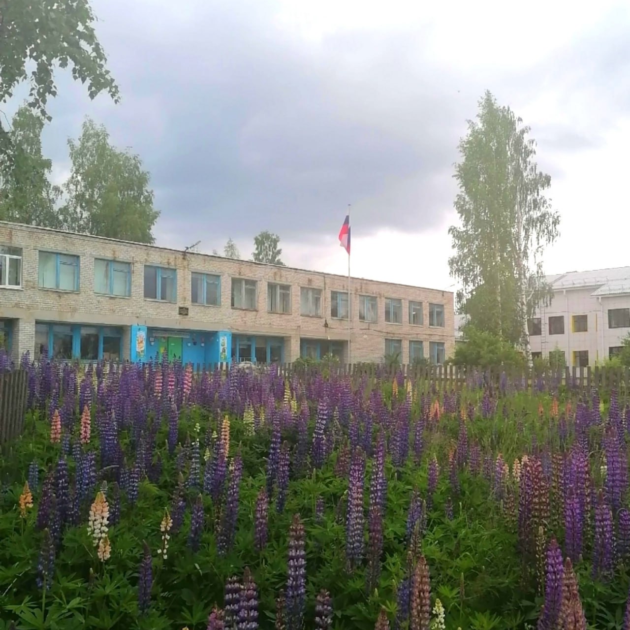 #Боровой #школа В Карелии из школы массово уволились учителя. Сразу четыре учителя уволились из Боровской школы в Калевальском районе. По словам педагогов, им приходилось работать под психологическим давлением и запугиванием администрации школы и конкретно директора. Трое из уволившихся — учителя русского языка и литературы, пишет паблик «Отражение. Карелия». По данным источника, конфликт в школе зрел давно. Родители уже писали обращения в Министерство образования Карелии и Заксобрание региона. По мнению родителей школьников, начало учебного года под угрозой. В школе учатся 130 детей. — Все бегут из нашей школы. Директор создает невыносимые условия для работы учителей, принижая их значимость, — писала мама одной из учениц в обращении к министру образования Карелии Наталье Кармазиной, но ответ на него женщина так и не получила.