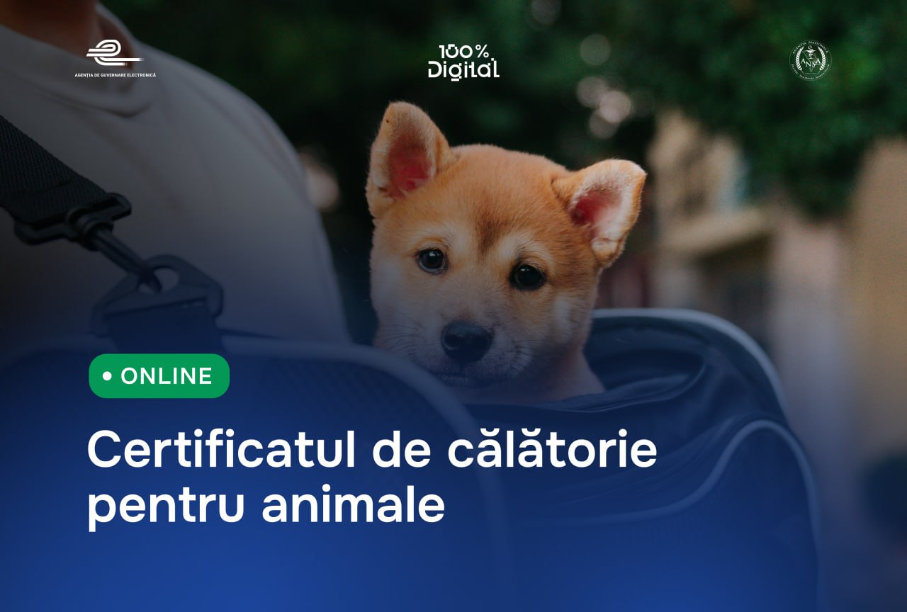 Ветеринарный сертификат для выезда с животными за границу теперь доступен онлайн  С 7 августа в стране действует цифровой механизм получения сертификата для некоммерческого перемещения домашних животных. Процедура доступна полностью онлайн, включая подачу заявления и получение документа. Граждане могут подать заявку через:  Мобильное приложение EVO  модуль «Государственные услуги» ,  Портал государственных услуг — servicii.gov.md.