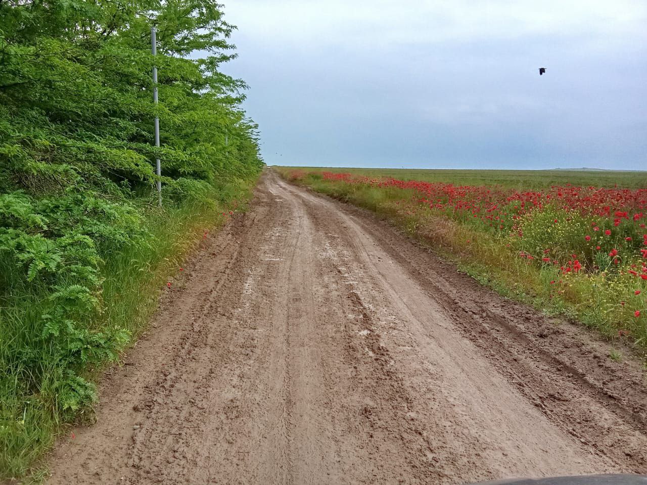 Экстренные службы не могут проехать к домам в станице Кубани из-за плохой дороги В Темрюкском районе микрорайон Новая Тамань уже более 10 лет страдает от отсутствия нормальной подъездной дороги, рассказали «Утреннему Югу» местные жители. Когда идут дожди, улицы превращаются в непролазную грязь. При этом поблизости укладывается асфальт на дороге, которая ведет к коммерческой зоне «Атамань» на улице Покровской. Люди обеспокоены тем, что в случае чрезвычайной ситуации спасательные бригады не смогут вовремя приехать на помощь. Экстренные службы не смогут преодолеть полосу препятствий под названием наша дорожка, - говорит местная жительница. из архива жителей Новой Тамани /фото/видео для публикации или заказать рекламу: «Утренний Юг»