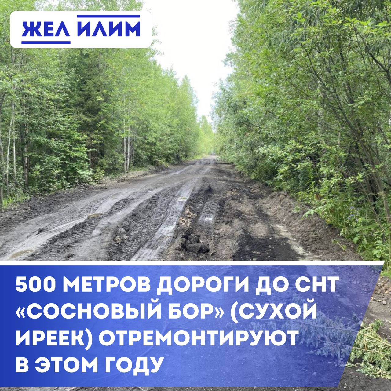 500 метров дороги до СНТ «Сосновый бор»  Сухой Иреек  отремонтируют в 2025 году.    Согласно размещенным в открытом доступе закупкам стало известно, что в 2025 году в рамках второго этапа реализации ремонта дорог к содовым некоммерческим товариществам будет произведет ремонт участка дороги на Сухой.     Стоимость контракта составила 4 млн 628 тысяч рублей, а срок исполнения до конца апреля 2025 года.