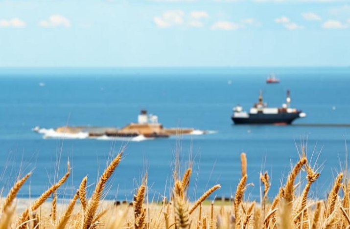 Квоту на экспорт зерна могут нарастить до 20 млн тонн В 2026 году объем тарифной квоты на экспорт зерна из России может достичь 20 млн тонн Такая информация содержится в протоколе заседания подкомиссии по таможенно тарифному и нетарифному регулированию федерального правительства Согласно документу подкомиссия поддержала предложение установить тарифную квоту на экспорт ряда зерновых с 15 февраля по 30 июня В перечень входят пшеница меслин ячмень кукуруза рожь нулевая квота Подробнее