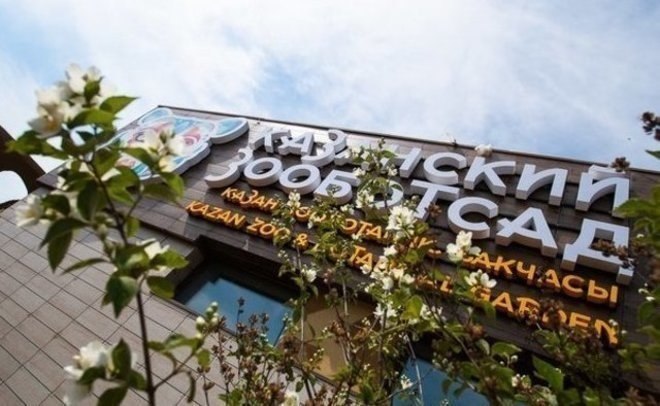 Россельхознадзор выявил нарушения в Казанском зооботсаде Проверка показала несоблюдение требований к содержанию животных и санитарным условиям rv shorts