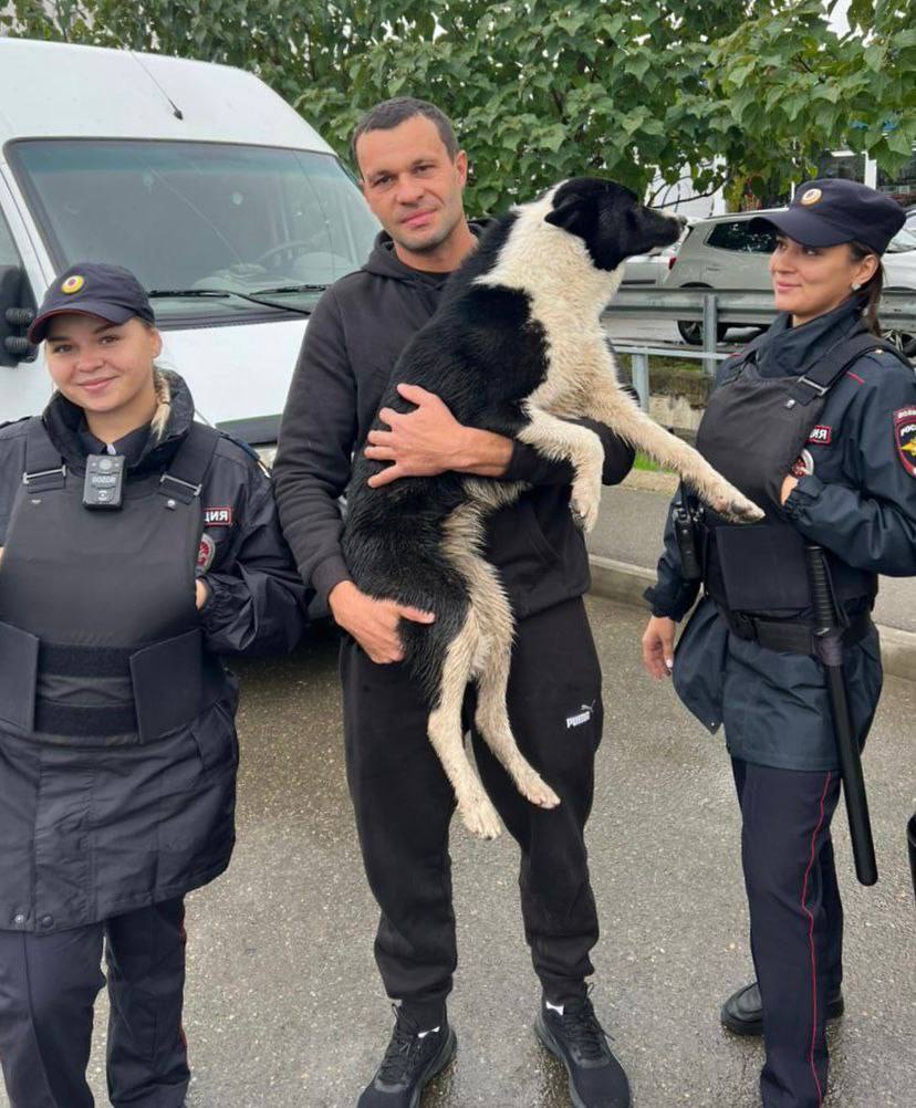 Полицейские вернули пропавшую собаку хозяину в Крымске Сотрудники ППС заметили на улице собаку и сразу узнали в ней ту самую Кайру о пропаже которой хозяин писал в городском телеграм канале Полицейские сразу позвонили мужчине сообщили о находке и пока тот ехал позаботились о напуганном животном Хозяин собаки поблагодарил сотрудников полиции за отзывчивость и помощь Кубанские Новости Мы в MAX