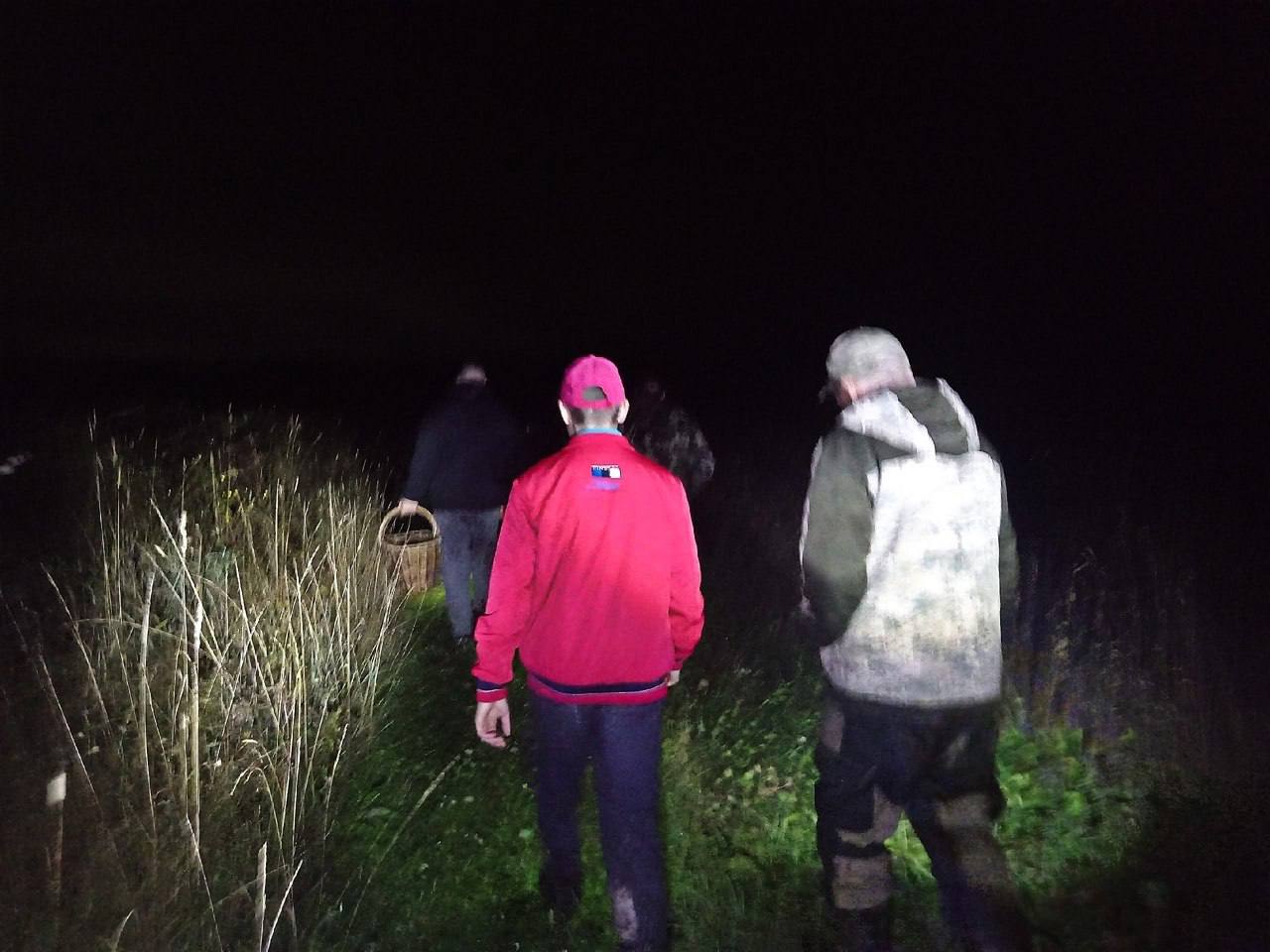В Ивановской области за один день потерялись больше 30 грибников В поисково спасательный отряд Форест поступило 18 заявок Большинство выходили на связь их вернули домой специалисты направления Лес на связи К вечеру все заявки закрыли со статусом Найден жив Но около восьми часов поступил новый вызов в Шуйском районе потерялись двое мужчин и подросток Их машину нашли у нежилой деревни Лекунино а самих грибников позже в деревне Ярумино Там местный житель разрешил им позвонить и дождаться помощи   Подпишись Поделись новостями