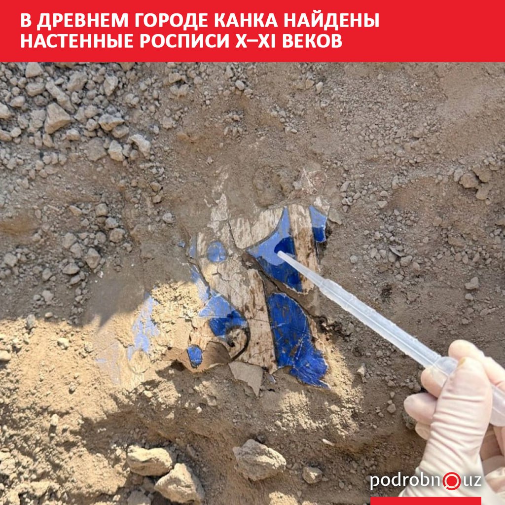 Археологи Института истории Академии наук Узбекистана обнаружили в городище Канка в Ташкентской области настенные росписи датируемые X XI веками Уникальная находка сделана в ходе раскопок проводимых при поддержке хокимията региона   podrobno uz cat calche v drevnem gorode kanka naydeny nastennye rospisi x xi vekov Telegram Instagram Facebook Читать на узбекском