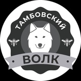 Аватар Телеграм канала: Тамбовский волк