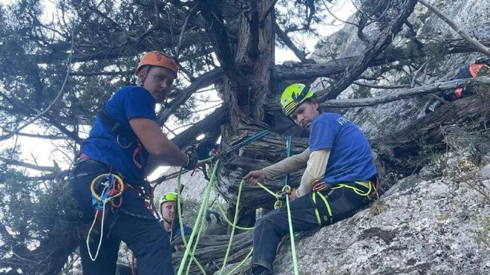 Покорители Космоса: в Крыму спасатели сняли подростков с отвесной скалы ⁠ СИМФЕРОПОЛЬ, 21 сен - РИА Новости Крым. В Судаке спасатели МЧС оказали помощь четверым подросткам на горе Космос. Об этом сообщает МЧС Крыма.  "На скальном  массиве  в районе с. Краснокаменка находились подростки, они не могли  двигаться ни вверх, ни вниз. Дежурная смена Судакского аварийно-спасательного отряда "КРЫМ-СПАС" вместе со спасателями Феодосии прибыли на место, установили телефонный контакт и  визуальное местонахождение молодых людей", - говорится в сообщении.  По данным МЧС Крыма, подростки находились в различных точках скального участка в труднодоступных местах восточного склона горы Космос. Подниматься к ним спасателям пришлось с помощью альпинистского снаряжения.  "Организовав страховочные линии и исполь...  Подробнее>>>