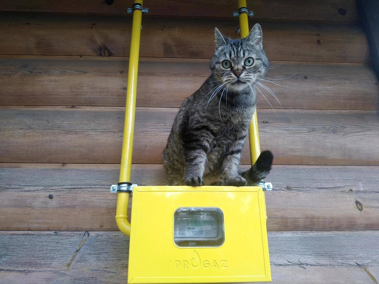 В Дагестане начали внедрять цифровой учёт газа для предприятий В республике запущена программа СТМ 100 в рамках которой производственным и бюджетным организациям бесплатно устанавливают интеллектуальные счетчики газа с модулем телеметрии Специалисты Газпром межрегионгаз Махачкала с ноября оснастили данными приборами 600 объектов включая социальной сферы промышленные предприятия и торговые точки Такие счётчики обеспечивают высокую точность измерения расхода газа что исключает ошибки в расчётах и повышает доверие потребителей Автоматическая передача данных избавляет от необходимости ручного снятия показаний а дистанционный мониторинг позволяет оперативно выявлять неисправности Реализация программы станет важным шагом в цифровой трансформации системы газоснабжения региона Она рассчитана на период до 2030 года и предусматривает 100 процентное подключение промышленных и коммунально бытовых потребителей к системе телеметрического учета газа отметил генеральный директор Газпром межрегионгаз Махачкала Ризван Мурадов