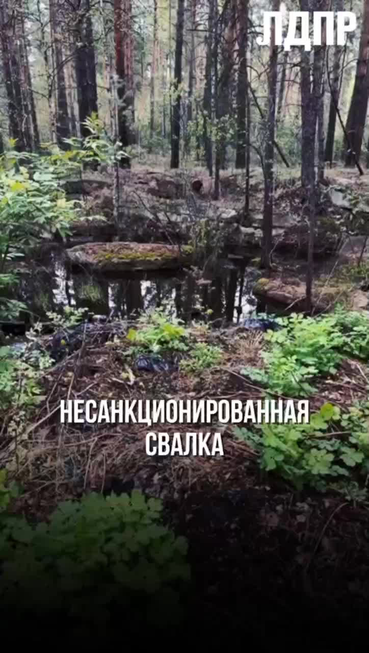 Прокуратура Саратовской области выявила нарушения в охране окружающей среды и природных памятников