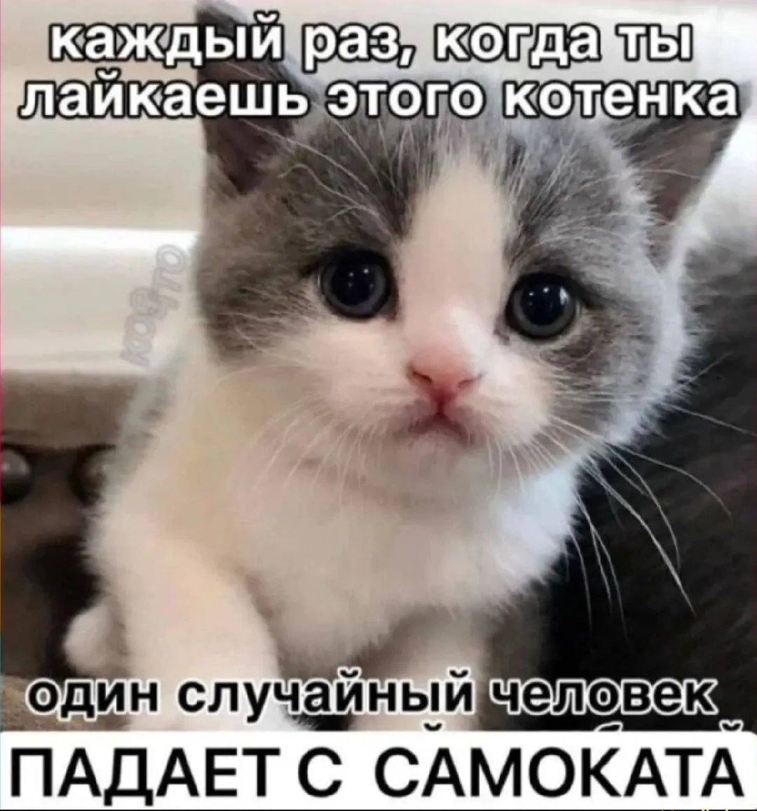 Электросамокаты полностью запретили в трёх округах Подмосковья Ограничение ввели в Раменском Люберцах и Котельниках А как думаете пора ли ввести такой же запрет в Архангельске   да однозначно нет зачем крайности  Подписаться на ПНГ Мы в MAX