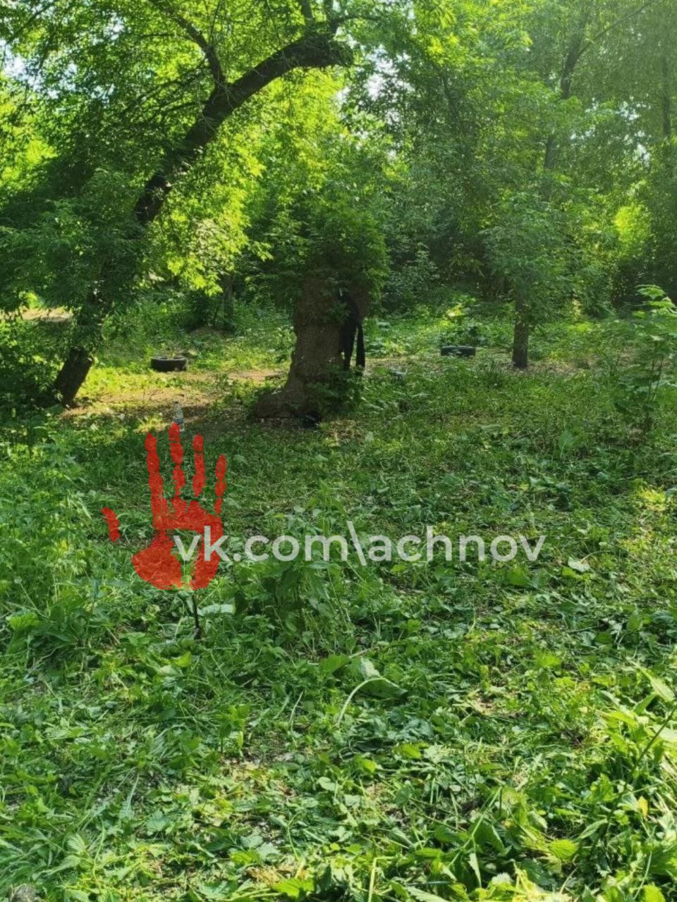 В Челябинске 65-летний пенсионер, прогуливаясь по лесу, стал жертвой двух наглых злоумышленников Один из воров, угрожая ножом, отобрал у него мобильный телефон стоимостью 20 тысяч рублей и сбежал в неизвестном направлении. Полицейские проявили настоящую скорость и ловкость, задержав подозреваемого в разбойном нападении всего за 10 минут! Стражи порядка уже начали поиски. Один подозреваемый был задержан неподалеку от места преступления. Потерпевший без труда опознал своего обидчика, а нож, использованный в нападении, был изъят. Как выяснилось, задержанным оказался 38-летний местный житель с криминальным прошлым. Второго участника происшествия еще предстоит найти. Теперь по этому делу возбуждено уголовное дело по части 2 статьи 162 УК РФ разбой , а подозреваемый помещен в изолятор временного содержания. Источник: УВД по городу Челябинску