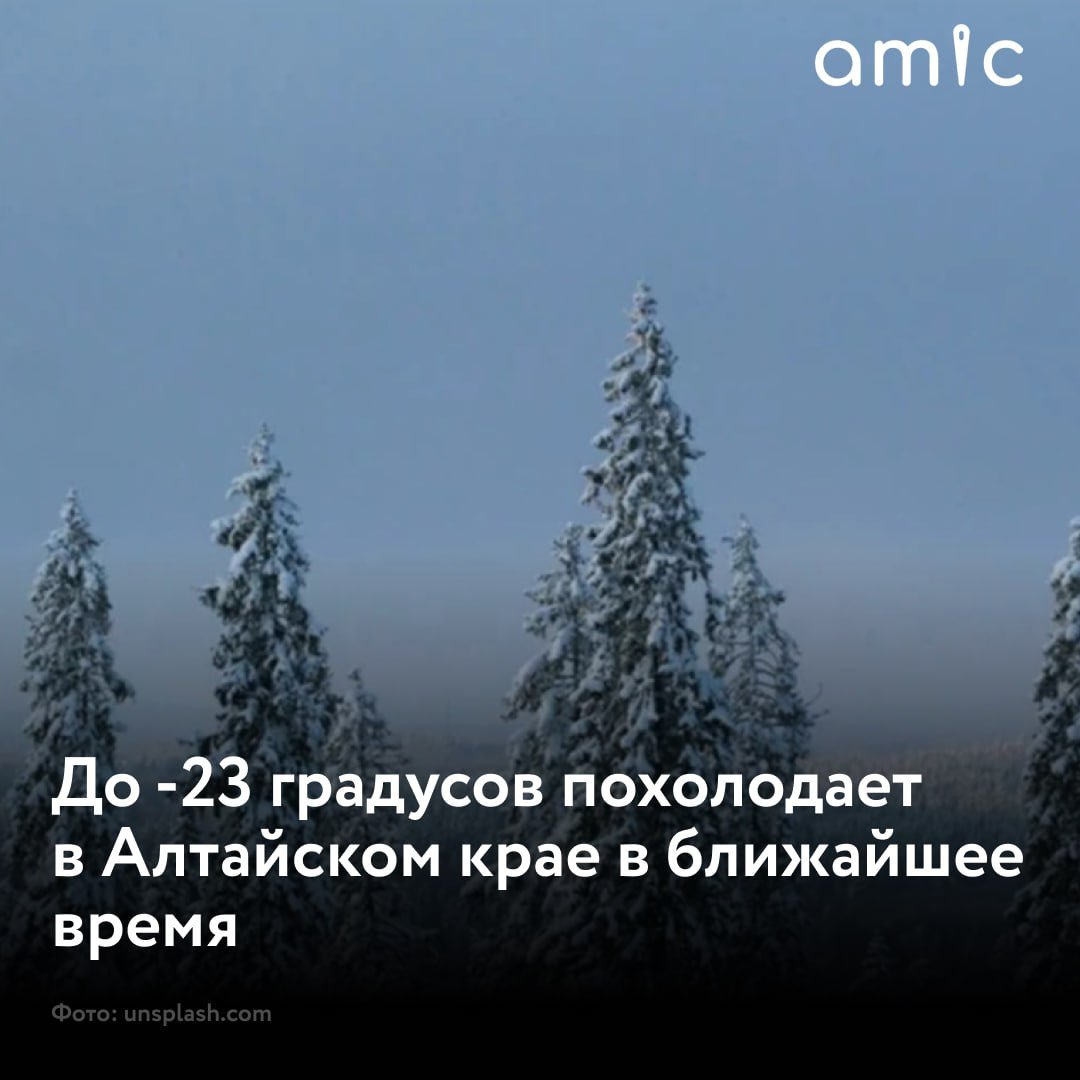 Мороз ударит по Алтайскому краю в ночь на 23 декабря   Температура воздуха составит -13...-18 градусов, в Барнауле будет -15... -17, а местами по региону похолодает до -23, следует из прогноза регионального Гидрометцентра.  Преимущественно без осадков, местами по востоку и в Барнауле небольшой снег. На дорогах местами гололедица.  Ветер подует юго-западный, 2-7 м/с.  Днем 23 декабря термометры покажут -9... -14 градусов. Как и ночью, в светлое время суток будет преимущественно без осадков с небольшим снегом местами по востоку.