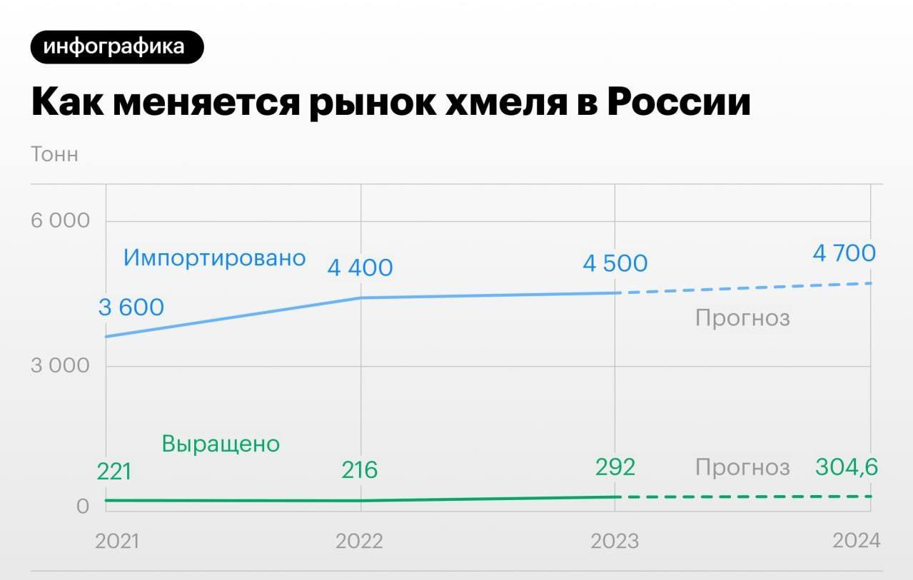 Российская пивная отрасль на 95-97% зависит от импортного хмеля — одного из ключевых ингредиентов для пивоварения. Хотя доля хмеля в стоимости пива составляет всего 1,5-5%, он отвечает за горечь, аромат и выступает как естественный консервант. Российский хмель стоит от €6 до €10 за килограмм, но его выращивание требует длительного цикла — урожай появляется только на третий год после посадки, и высокие затраты делают его малопривлекательным для аграриев.