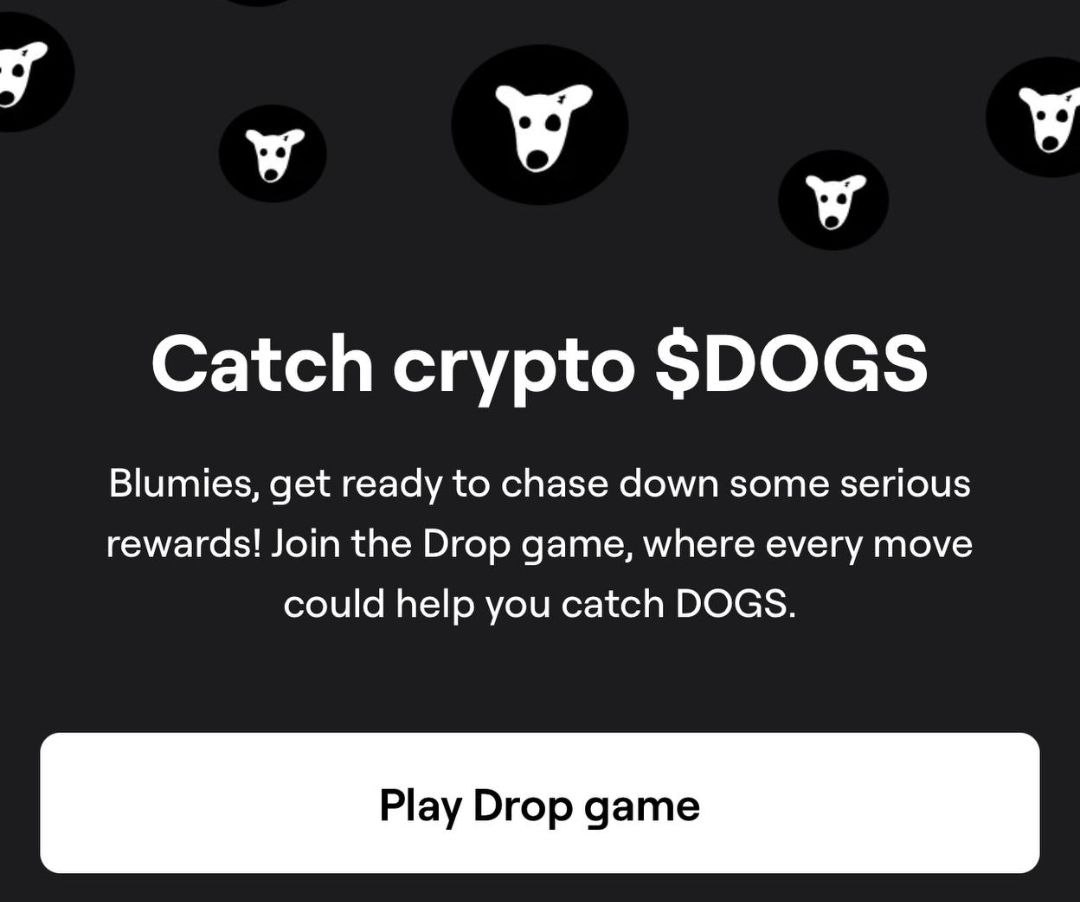 Из разных источников поступает информация, что в blum в drop game стал выпадать токен dogs.  Несмотря на многочисленные скрины,  протыкал лично 4 игры - мне не выпали dogs.  Есть те, кому выпало?