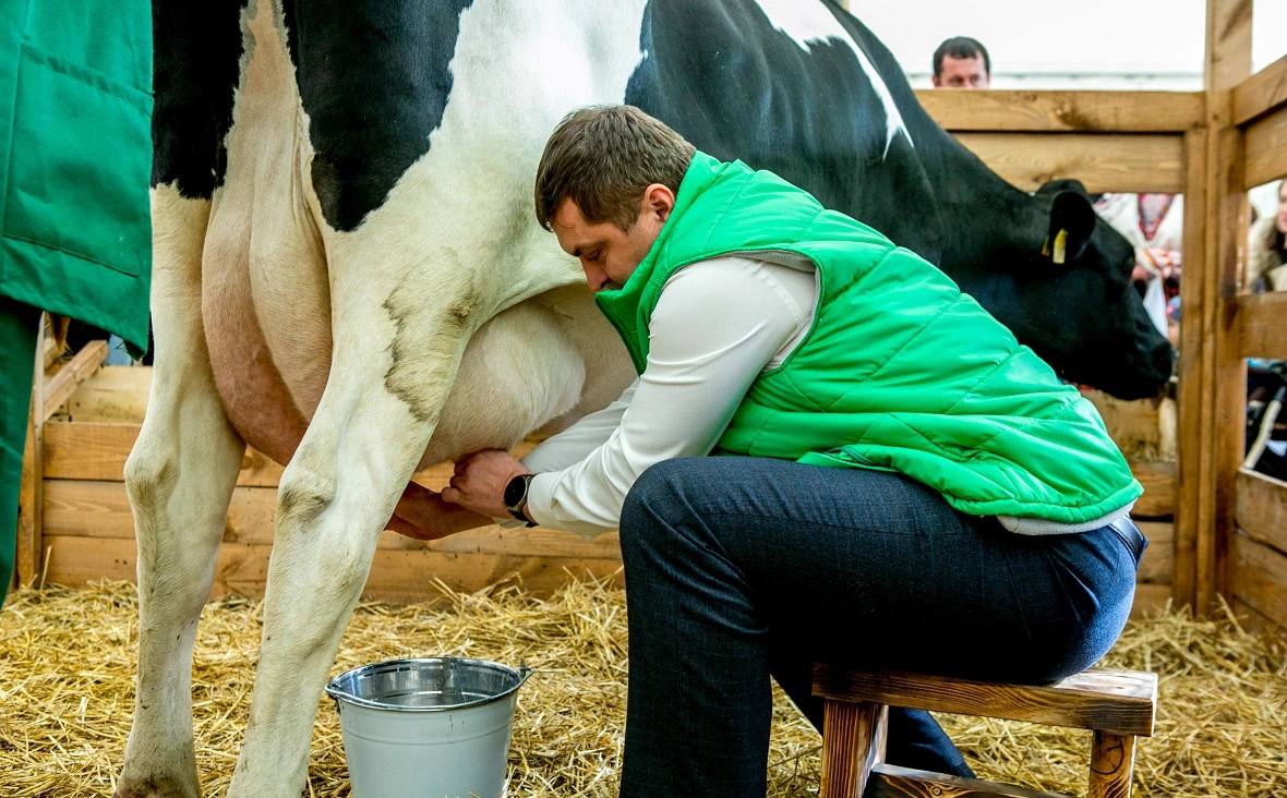 Минсельхоз назвал молочную отрасль ключевой для АПК Башкирии Молочное животноводство будет драйвером развития сельского хозяйства Башкирии в ближайшие годы сообщил вице премьер министр сельского хозяйства республики Ильшат Фазрахманов на семинаре совещании по животноводству 24 декабря Учитывая низкие закупочные цены на зерновые и зернобобовые культуры падение цен на сахар и тенденцию что такое положение дел сохранится еще долго важно развивать животноводство Молочная отрасль скорее всего еще долгие годы останется драйвером развития регионального АПК сказал Фазрахманов Глава Минсельхоза отметил что до 2030 года в республике должны заработать 50 крупных молочных ферм которые будут производить не менее 1 млн тонн молока в год Для их обеспечения кормами потребуется около 1 млн га пашни РБК Уфа в Telegram РБК Уфа в MAX