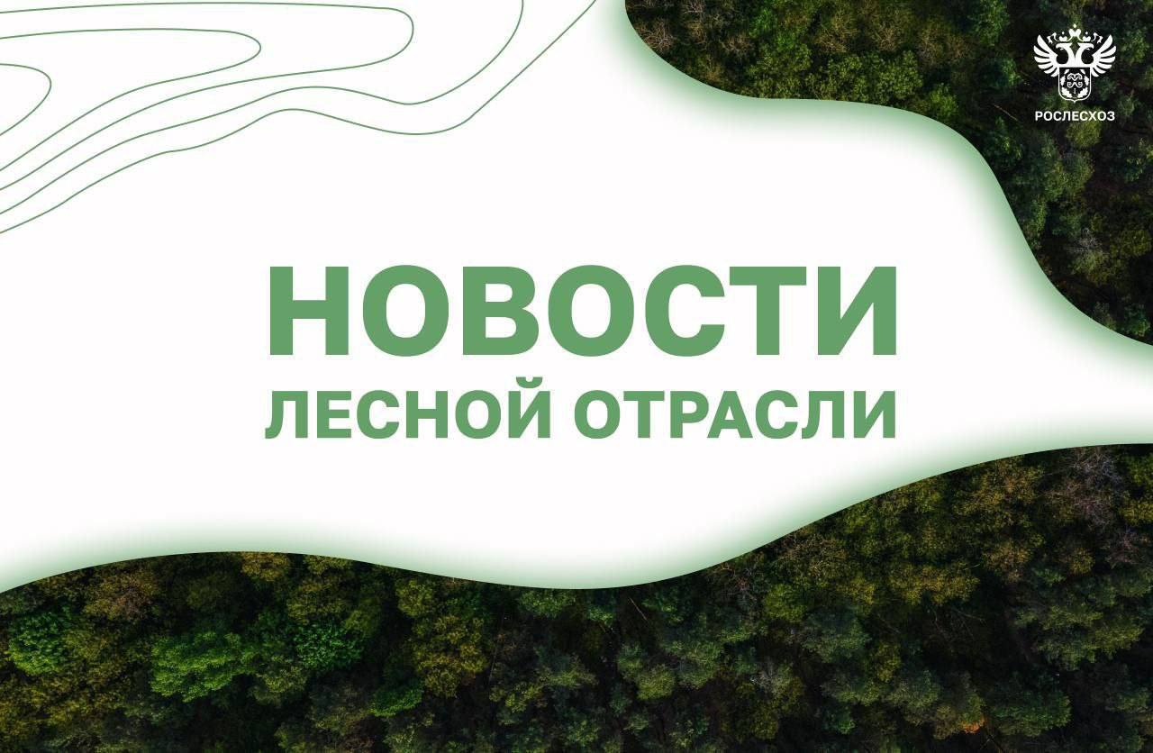 ТАСС: В ведении лесного хозяйства Приамурья и Волгоградской области выявили нарушения    AK&M: Рослесхоз вернул незаконно изъятые участки леса в ЦФО, ДФО, СФО в состав земель лесного фонда    Forestcomplex ru: В 2025 году власти вложат больше средств в увеличение зарплат лесникам и сохранение лесов    РИАМО: Инвестиции в лесопромышленный комплекс РФ растут, несмотря на ограничения