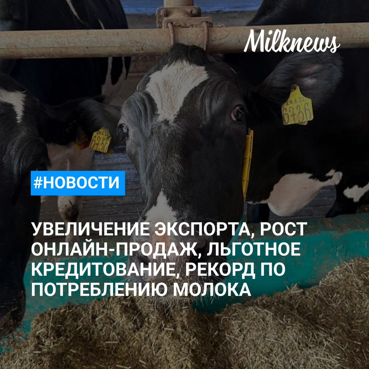 Россия увеличила экспорт молочной продукции на 19%    "Нильсен": доля онлайн-продаж стерилизованного молока перешагнула отметку в 10%    Минсельхоз на следующей неделе планирует начать льготное кредитование на 2025 год    Россельхозбанк продолжит льготное кредитование АПК    РСХБ: Россия в 2024 году обновила рекорд по потреблению молока