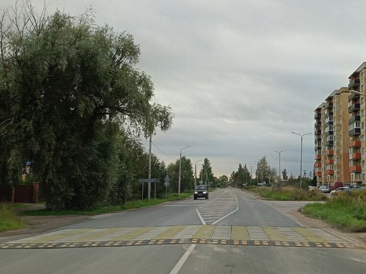 Новая искусственная неровность появилась в деревне Портянниково В Псковском районе продолжают устанавливать искусственные неровности которые помогут обеспечить безопасность на подъезде к зонам пешеходных переходов В УМВД отмечают снижение аварийности на дорогах с установленными искусственными неровностями Фото Псков за рулем Подписывайтесь на канал МК в Пскове