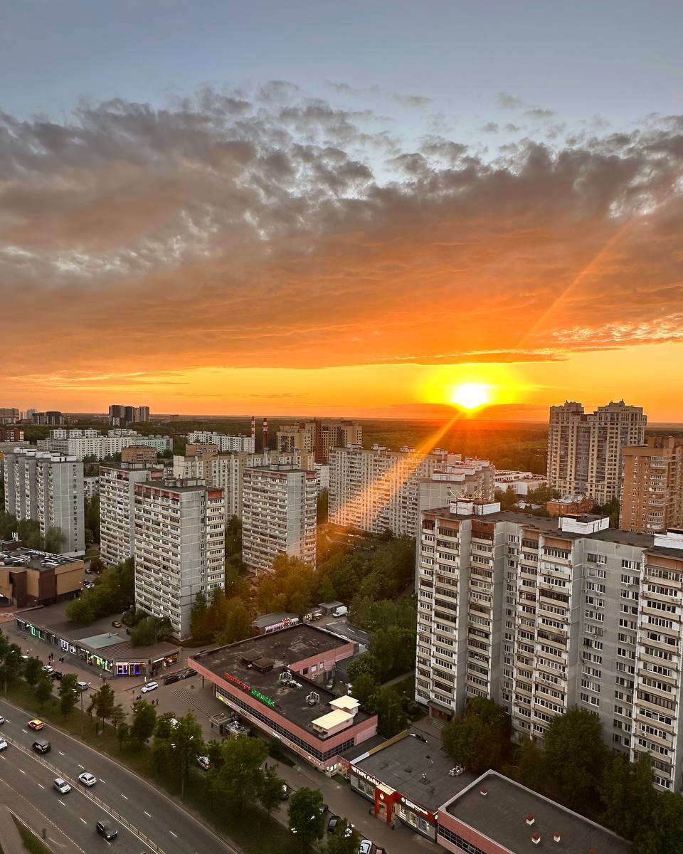 В московском регионе наступило метеорологическое лето — синоптики