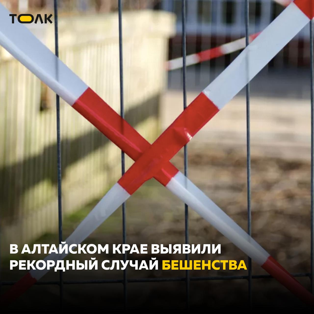 Рекордный 15-й случай бешенства выявили в Алтайском крае Заболевание обнаружили в личном подсобном хозяйстве в селе Быково Шипуновского района. С каким животным связано заболевание неизвестно. На 60 дней село объявлено "неблагополучным пунктом". Статус снимут только после того, как будет усыплено последнее животное, подозреваемое в заболевании бешенством или уничтожен труп последнего инфицированного животного. Что делает 2025 год худшим по числу случаев бешенства, выявленных в Алтайском крае за последние пять лет. ТОЛК