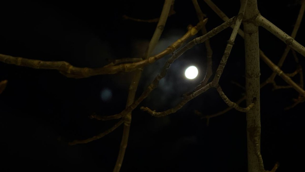 Самарскую область начала накрывать магнитная буря 5 февраля Сейчас их уровень оценивается как слабый G1 но в течение ближайших суток они могут усилиться до среднего и даже сильного уровня G2 G3 По информации Лаборатории солнечной астрономии ИКИ РАН причина бурь общая реакция магнитосферы Земли на высокую солнечную активность которая наблюдается с начала февраля В ночное время над Канадой и северными штатами США наблюдались полярные сияния максимальной интенсивности 10 Для территории России ситуация станет яснее когда ночь наступит в её европейской части ГТРК Самара MAX lВК lОК lСАЙТ