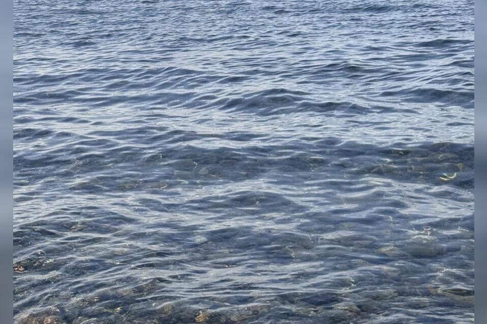 Сегодня в городе Петровск Забайкальский во время рыбалки утонул мужчина 1979 года рождения О несчастном случае сообщил его знакомый который и вытащил тело из воды Со слов очевидца они со знакомым отправились на рыбалку на реку Унго Во время ловли рыбы рыбаки разделились Спустя время мужчина увидел что мимо него проплавает тело его товарища Вытащив его на берег забайкалец сообщил о происшествии ZAB RU