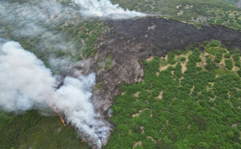 Больше 3 тыс гектаров леса выгорело в 2025 году на Камчатке Подведены итоги пожароопасного сезона Общая площадь лесных пожаров в 2025 году на Камчатке составила 3 410 9 гектара в 2024 1 329 55 га передает ИА Камчатское время со ссылкой на Минлесохоты Камчатского края Подробности по ссылке   kamtime ru article f3103946 d4c3 4ba8 8d79 7c85e443e2bb