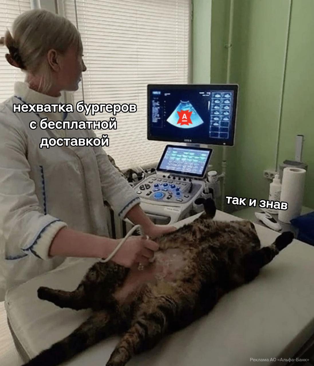 Спойлер скоро подписчики будут ужинать бургерами и картошкой фри Альфа Банк даёт кэшбэк до 100 на доставку любимых позиций из Вкусно и точка До 30 ноября нужно собрать заказ в приложении сети и оплатить его картой банка Наконец то не надо готовить