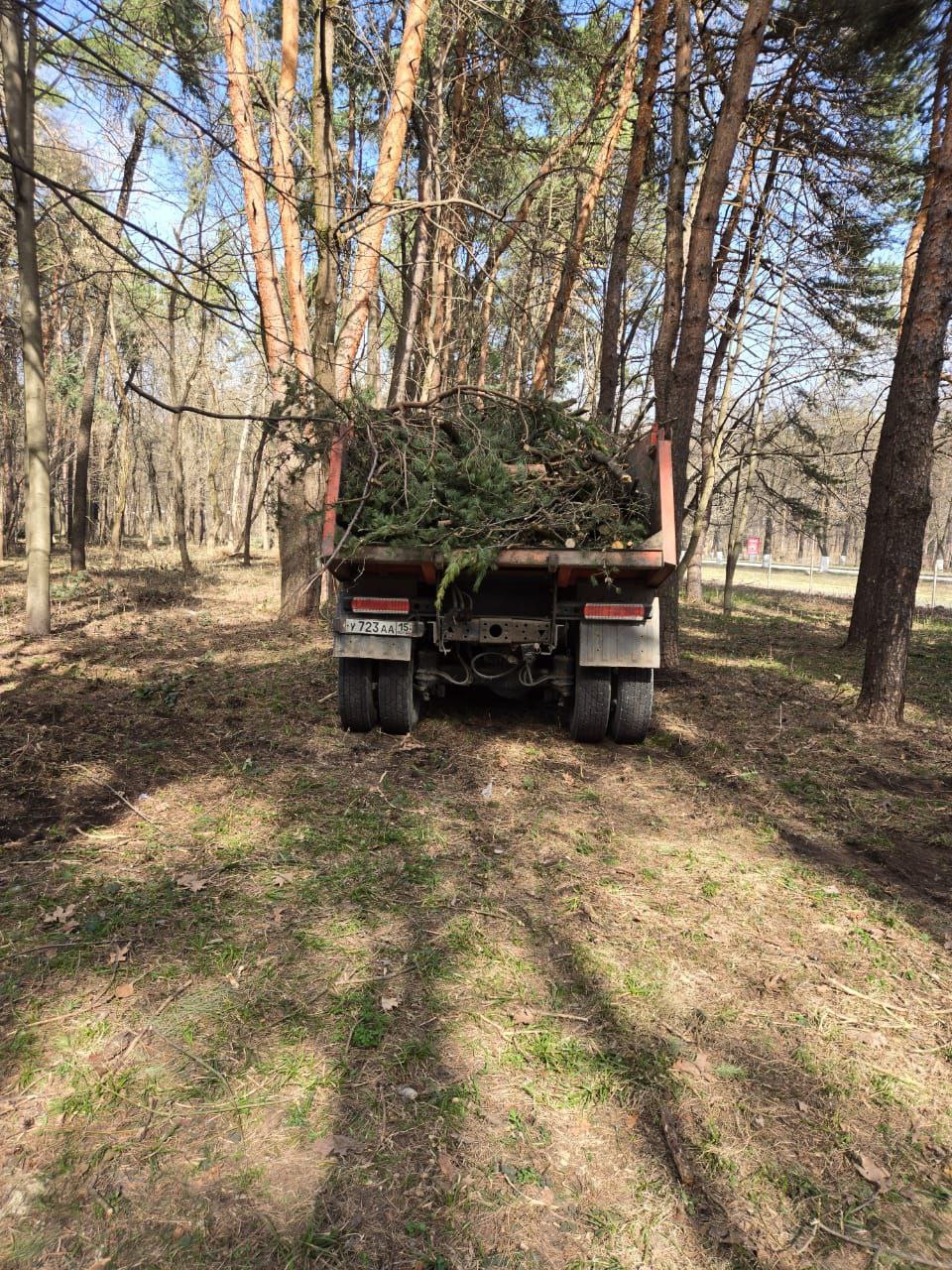 В парках «Нартон» и «Дендрарий» проходит уборка.   С потеплением началась плановая расчистка территорий зеленых зон. Сотрудники предприятия «ВладлесЭкология» расчищают дорожки от веток, валежника, мусора. За минувший день был расчищен один гектар паркового массива.   Накануне сотрудники предприятия «СпецЭкоСервис» вывезли с территории два КАМАЗа мусора.   Сегодня работы по санитарной очистке продолжаются.  Пресс-служба АМС_Текиева,   ВМБУ«ВладлесЭкология».