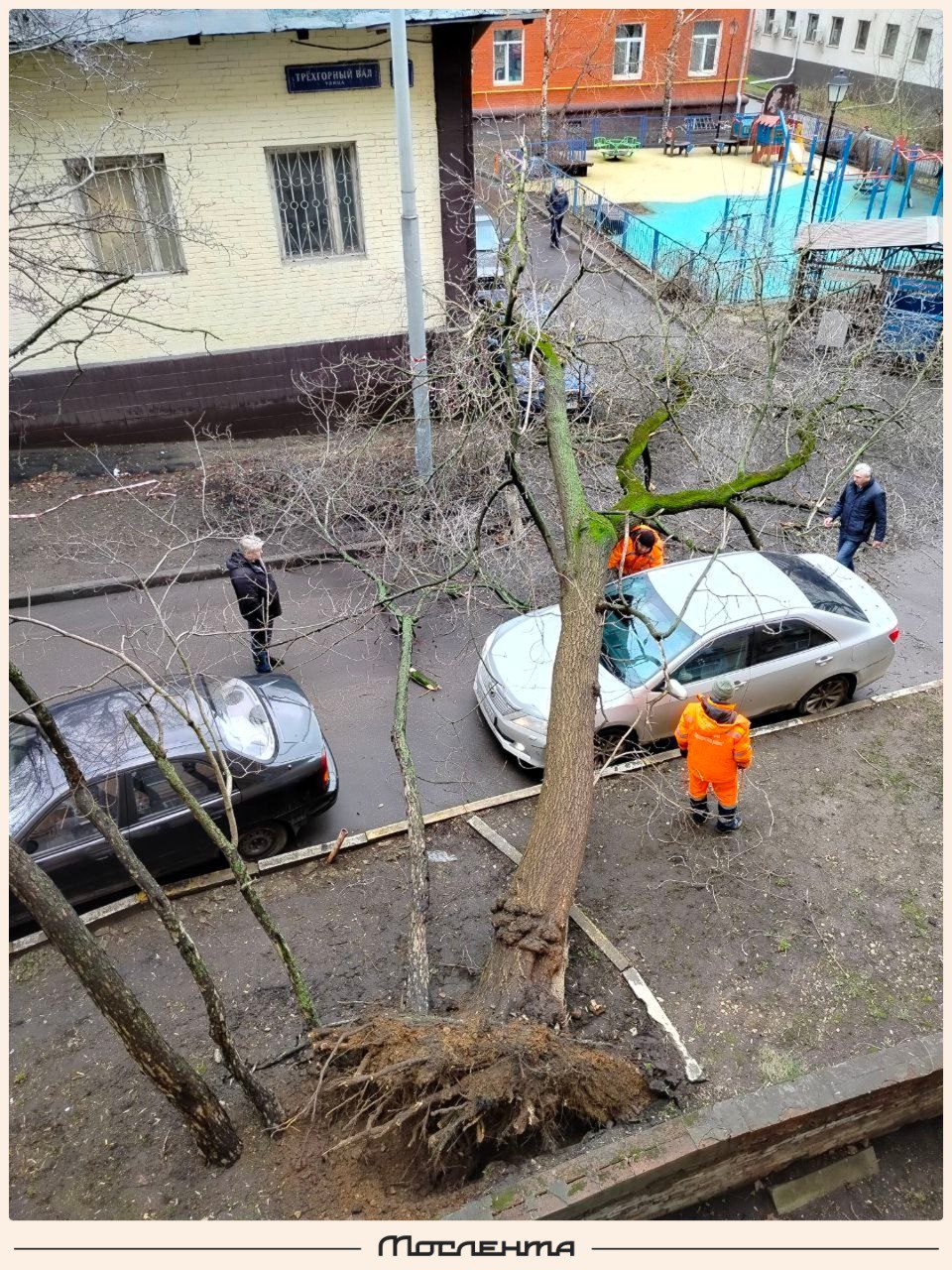 Кажется, началось: в центре Москвы дерево рухнуло на автомобиль из-за сильного ветра.  Сообщают, что водитель был внутри машины, он не пострадал