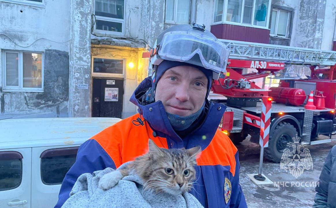 В Петропавловске помогли потерявшему хозяина коту  видео   Животное застряло на козырьке балкона  Спасатели МЧС России сняли кота, который сидел на третьем этаже дома на улице Давыдова. Подробности по ссылке: