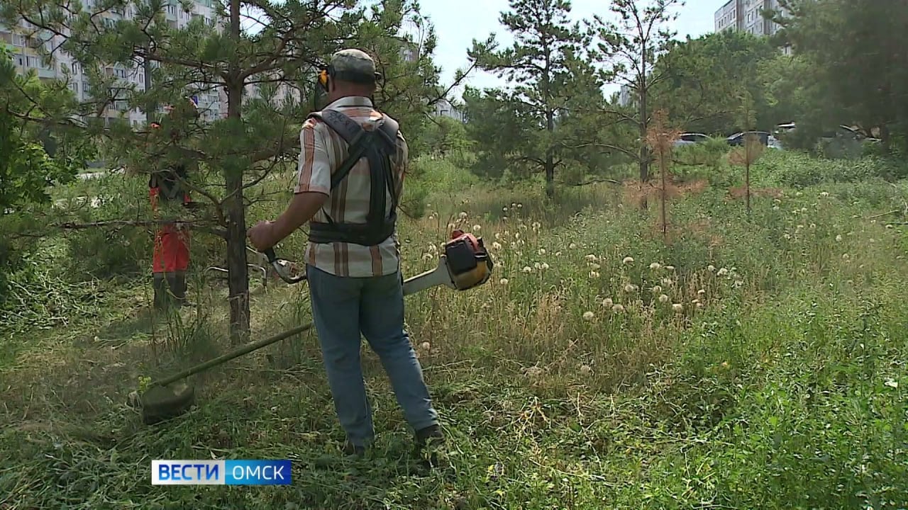 В течение мая проведут покос более чем на 275 гектарах городских территорий. Уже обработано 150 гектаров. Службы ежедневно косят траву в парках и скверах, на пешеходных зонах и придорожных пространствах. "Сегодня работы осуществляются в парке им 30-летия Победы, на улице 60 лет Победы, в сквере им. Героев-авиаторов, ул. 22 Декабря, а также на пешеходных зонах микрорайонов № 3 и № 5, вдоль улицы Лукашевича и на многих других объектах", – сообщил мэр Омска Сергей Шелест в своём тг-канале. Подписаться Написать в редакцию