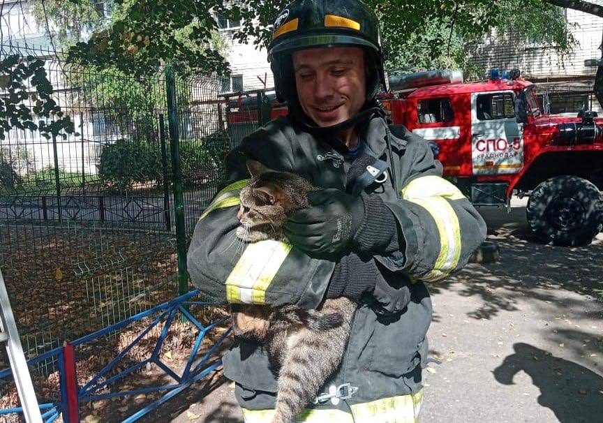 ‍  Тушили пожары и выручали домашних животных: чем занималась городская Служба спасения на этой неделе   Всего специалисты отработали 63 заявки. Оперативно реагировали на сообщения о пожарах — специалистам удалось ликвидировать девять возгораний, в том числе ряд крупных.  Двух кошек сняли с деревьев в парке 30-летия Победы и посёлке Индустриальном. Помимо этого, на улице Демуса вызволили из глубокого котлована упавшую туда собаку.