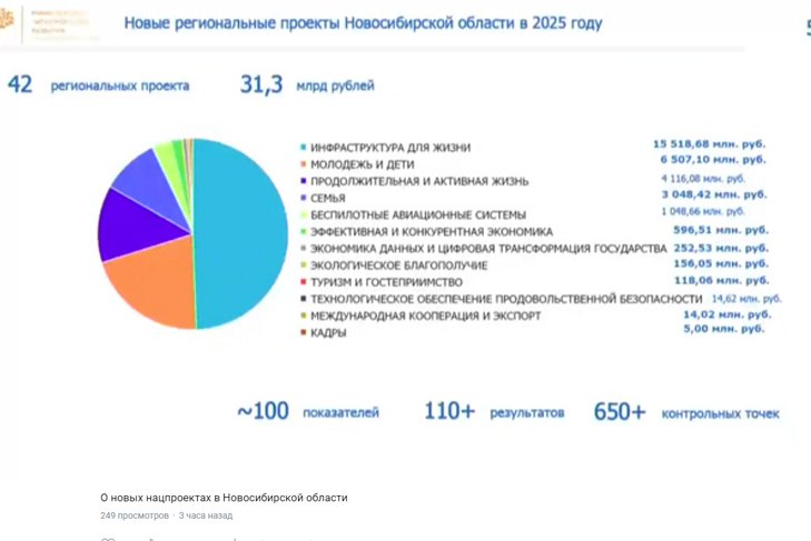 Новосибирской области выделено 31,3 млрд рублей на реализацию нацпроектов в 2025 году  Новосибирская область участвует в 12 из 19 новых национальных проектах.   Около 15,5 млрд рублей – это инфраструктура для жизни, сообщил министр экономического развития Новосибирской области Лев Решетников.   В структуре нацпроектов появилось много социальных векторов: это молодежь и дети, семья.