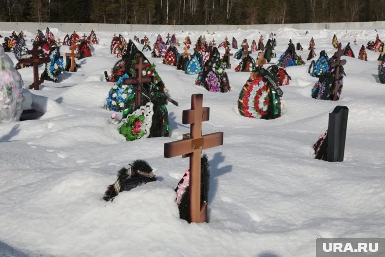 Вскрылись новые подробности дела об убийстве пермяка на Северном кладбище  В марте этого года двое горожан учинили расправу над своим приятелем из-за долга. Жертвой преступников стал 41-летний мужчина.   Сейчас один из обвиняемых готовится предстать перед судом.