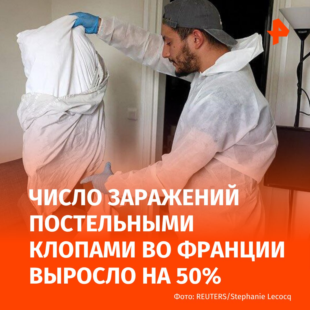 Клопы победили: число заражений постельными клопами во Франции выросло на 50%. Об этом пишет BFMTV.   Такие данные получили после сравнения количества заражений в июне 2025 и 2024 годов. Издание отмечает, что в первой половине текущего года число подтвержденных случаев снижалось.      МАХ  Отправить новость