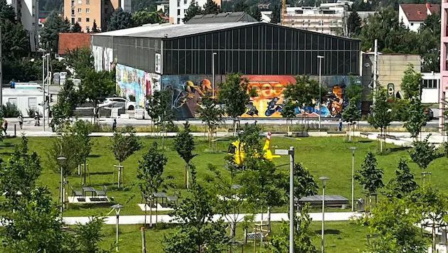 Стрельба произошла в школе в австрийском городе Грац Пять человек погибли. По данным СМИ, огонь открыл ученик. Нападавшего ликвидировали. Сейчас в здании проводятся обыски.