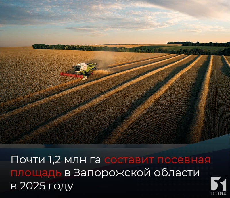 Почти 1,2 млн га составит посевная площадь в Запорожской области в 2025 году  В 2025 году общая посевная площадь в Запорожской области увеличится и составит почти 1,2 млн га, что открывает новые возможности для аграриев и экономики области в целом.  В области активно выращиваются такие культуры, как пшеница, кукуруза, ячмень, подсолнечник и соя.  Увеличение посевной площади в 2025 году позволит дополнительно создать новые рабочие места, что в свою очередь повышает уровень жизни местного населения и способствует развитию смежных отраслей, таких как переработка сельскохозяйственной продукции и логистика.    ЗАПОРОЖСКИЙ ТЕЛЕГРАФ