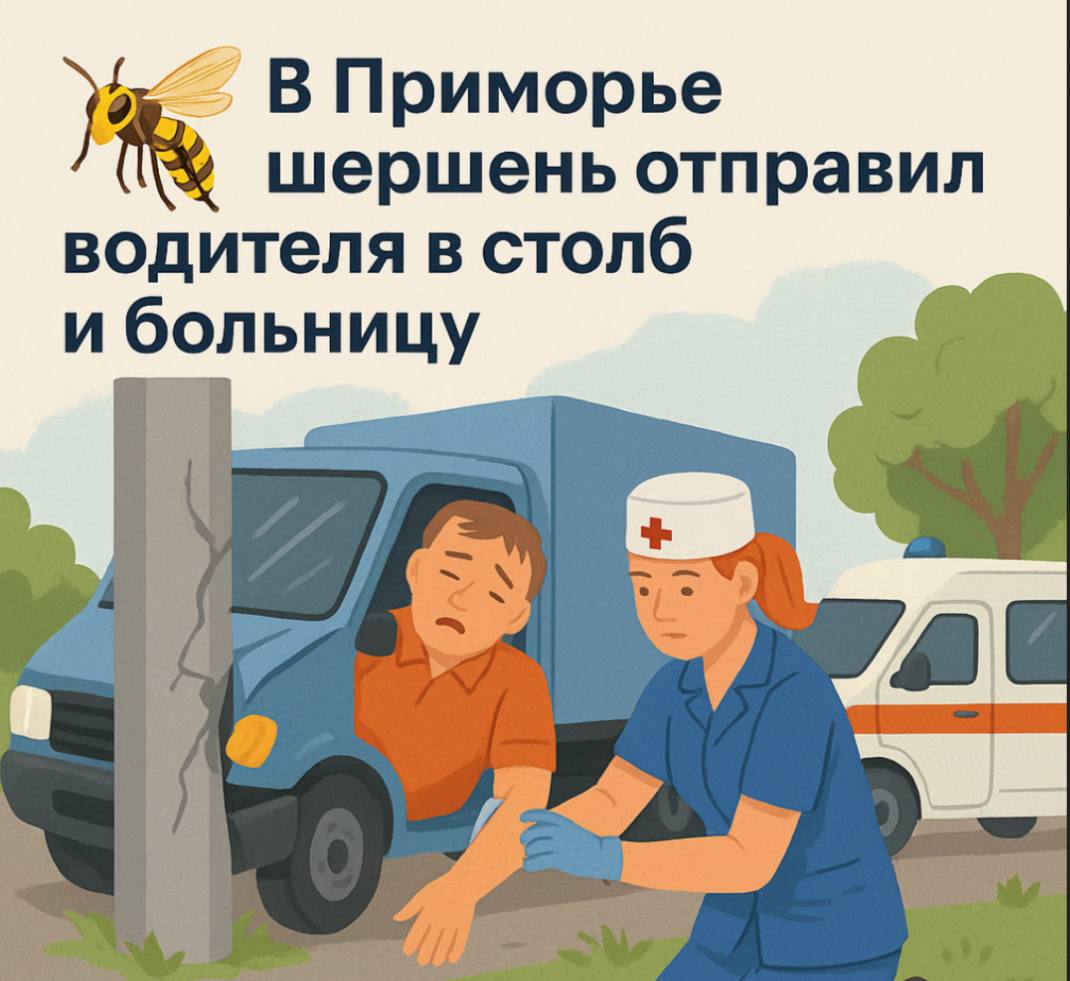 В Приморье шершень отправил водителя в столб и больницу  В Уссурийском округе шершень укусил водителя грузовика прямо за рулём. Мужчина потерял сознание и врезался в столб. Прохожие обнаружили его в тяжёлом состоянии рядом с разбитой машиной и вызвали медиков. Фельдшер из села Глуховка диагностировала отек Квинке и срочно ввела необходимые препараты. Благодаря быстрой реакции медиков мужчину удалось спасти, сейчас он проходит лечение в больнице.   Прислать новость:     Наш Чат