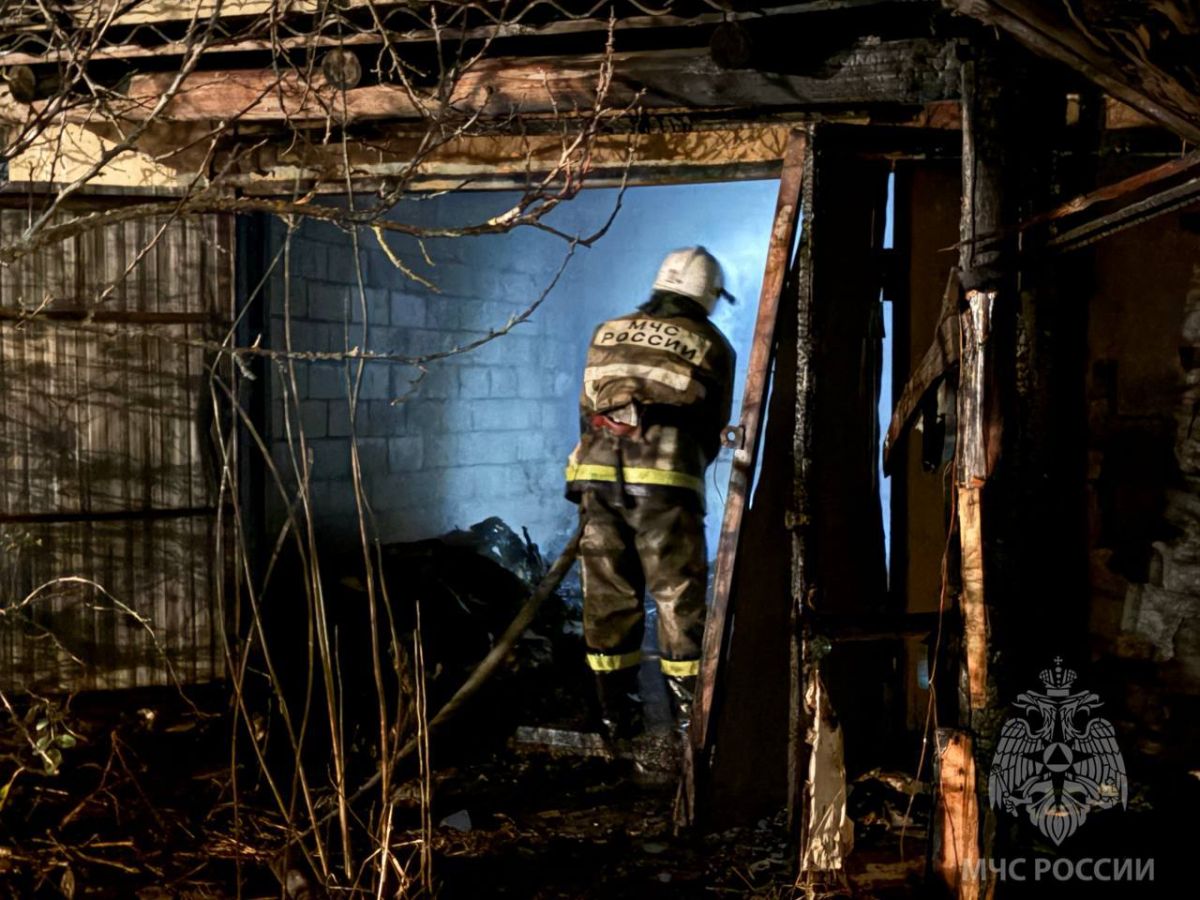 В огне пожара в Добром заживо сгорело стадо коз   newslipetsk ru fn 1757549 html Пламя разошлось сильно спасти здание не удалось сгорели практически все конструкции   Прислать новость Подписаться